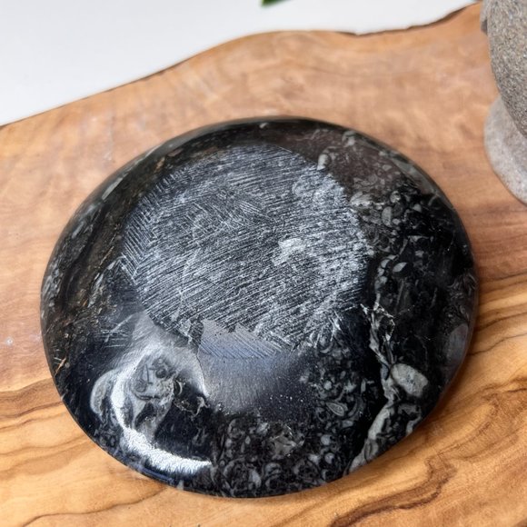 Genuine Orthoceras Fossil - Fossil Oval Ammonite Trinket dish from Morocco - Picture 9 of 11